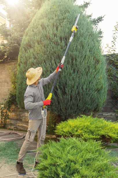 Best Lawn Maintenance Plans  in Gray Summit, MO